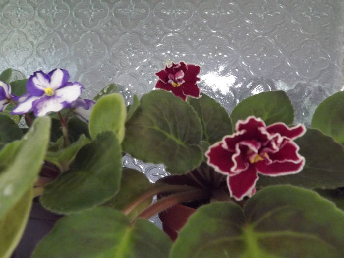 DSCF0258