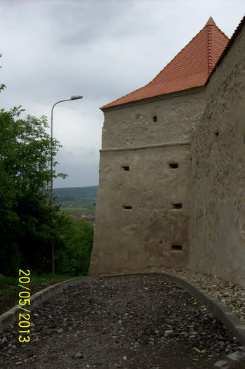 100_7556 - CETATEA TARANEASCA DIN RUPEA BRASOV