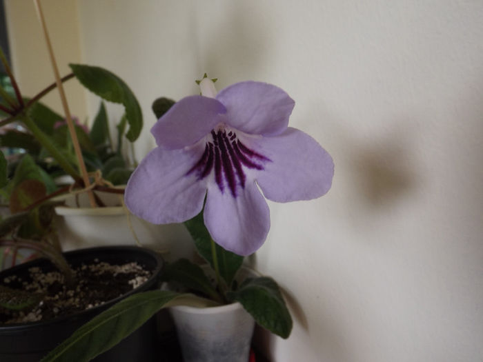 DSCF0319