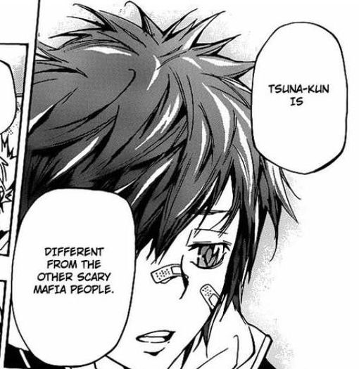 enma 13 - Katekyo Hitman Reborn manga