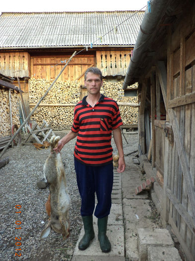 Femela de la Brugger are si urmasi,,,; Din astia sa tot cresti iepuri,,,
