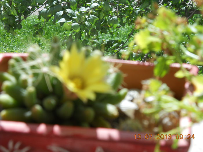 030 - IULIE 2013