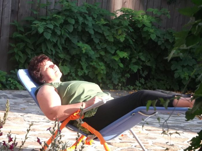 Picture 431 - SINGURATATEA ALERGATORULUI DE CURSA LUNGA