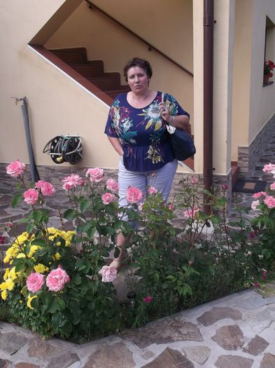 Picture 396 - SINGURATATEA ALERGATORULUI DE CURSA LUNGA