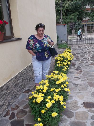 Picture 397 - SINGURATATEA ALERGATORULUI DE CURSA LUNGA