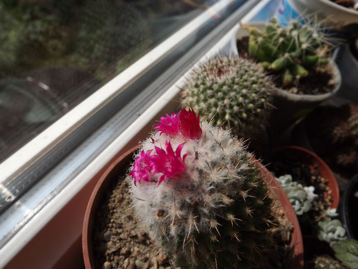 DSCF0304