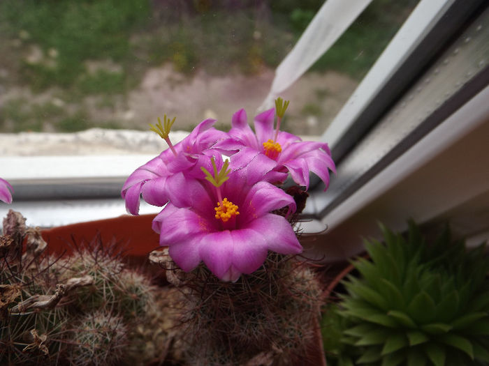 DSCF0468