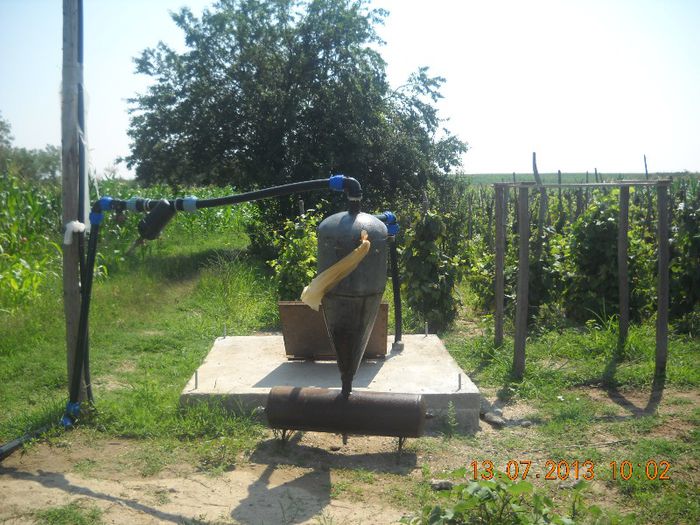 DSCN1498 - gradina 2013