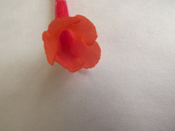 Super Orange - SINNINGII