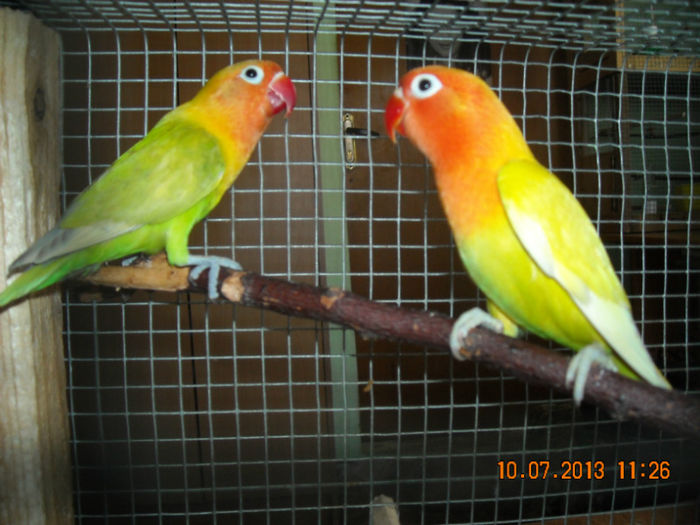 DSCN0147