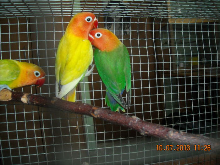 DSCN0148
