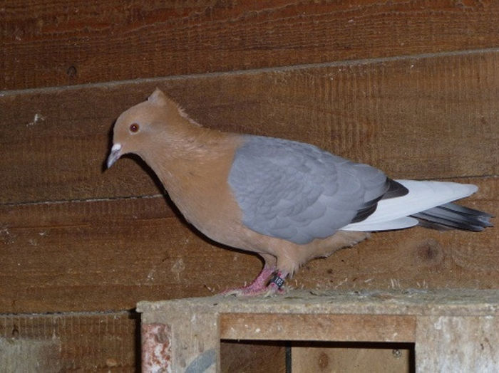 347