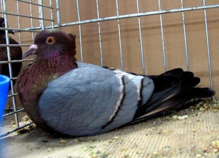 373
