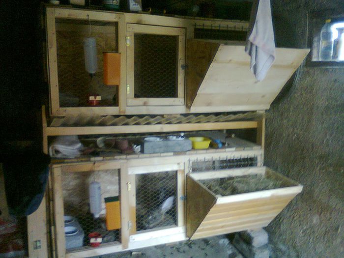 Cusca pentru cresterea puilor