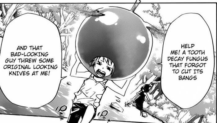 flan 12 - Katekyo Hitman Reborn manga 2
