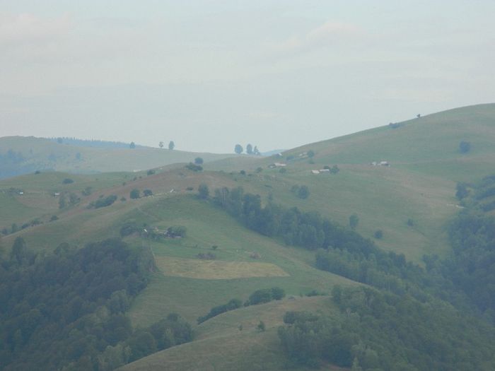 DSCN9244