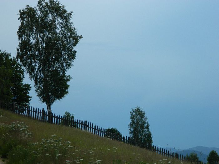 DSCN9248