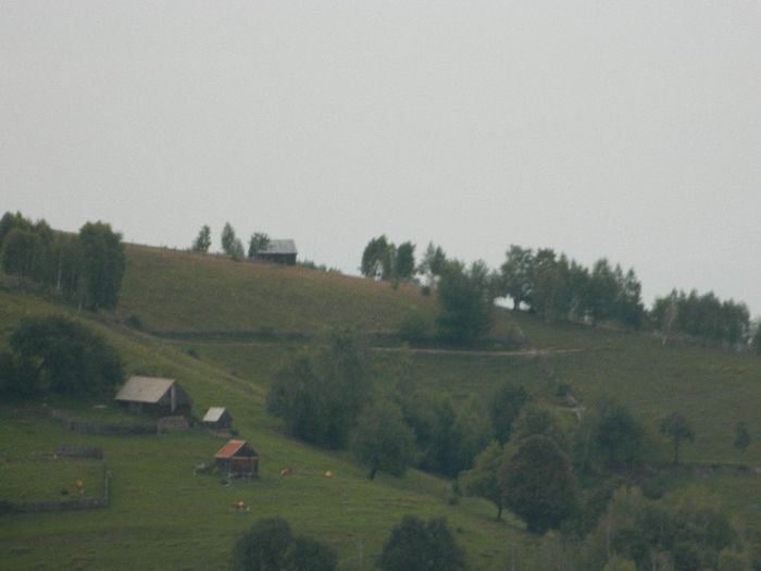 DSCN9250