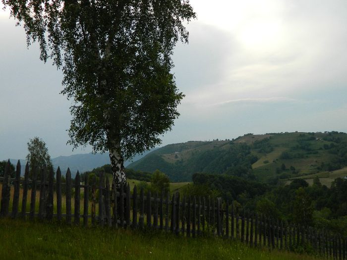 DSCN9257 - Diverse-Claudiu