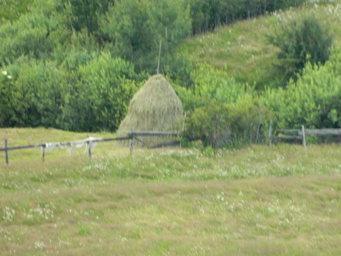 DSCN9259 - Diverse-Claudiu