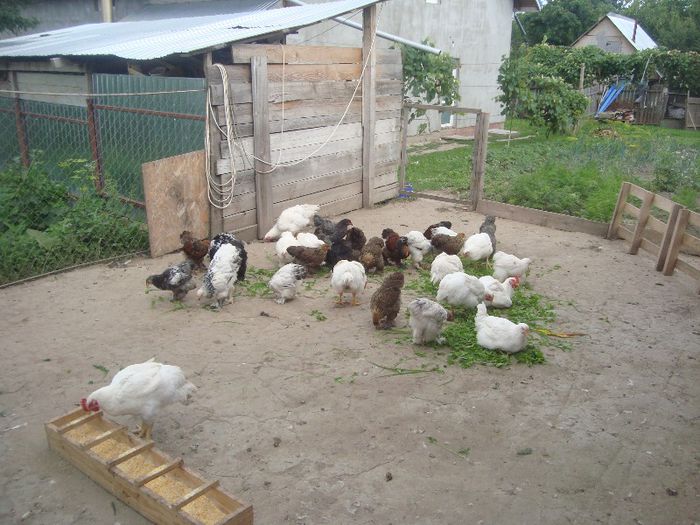 DSC03575