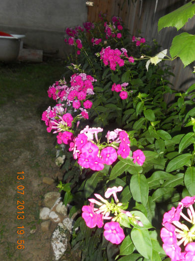 DSCN3816 - Oituz 2013