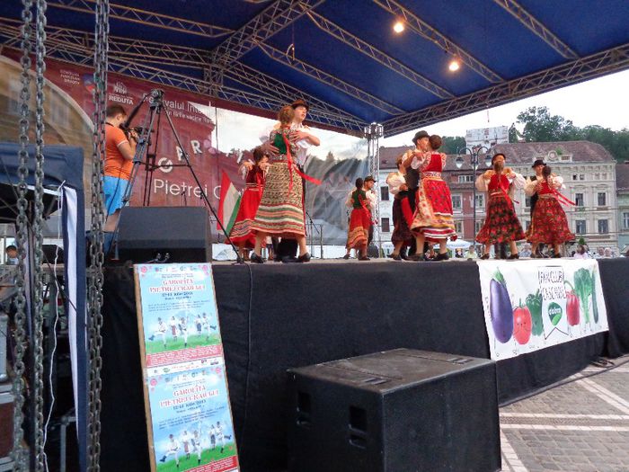 DSC01394 - Garofita Pietrei Craiului 2013