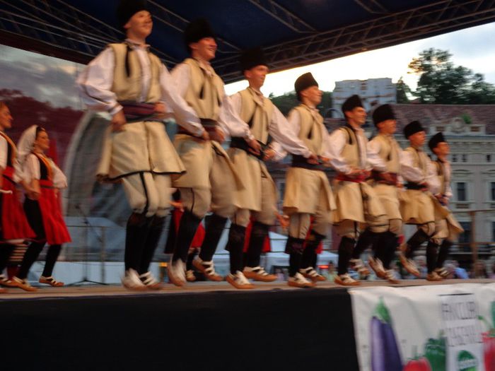 DSC01396 - Garofita Pietrei Craiului 2013