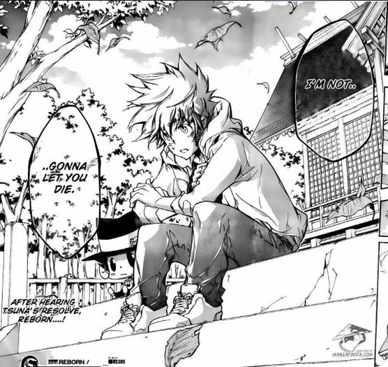 tsuna 157