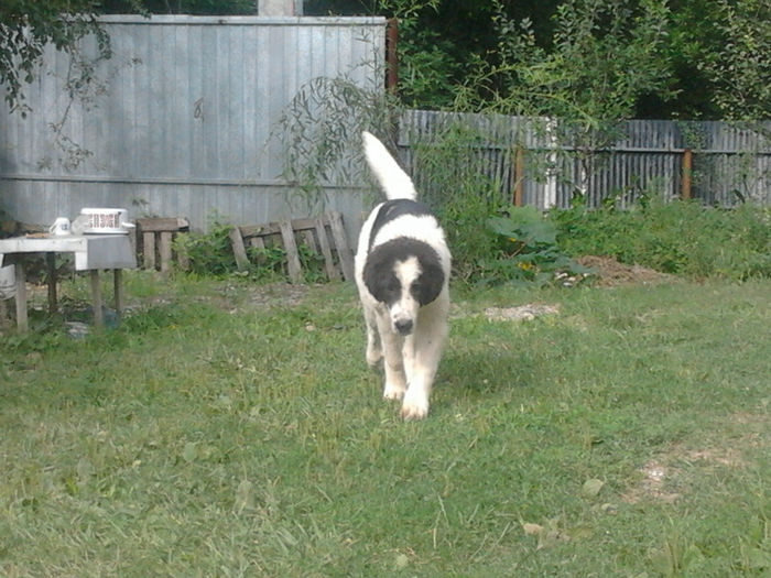 2013-07-15 09.04.26 - Molda