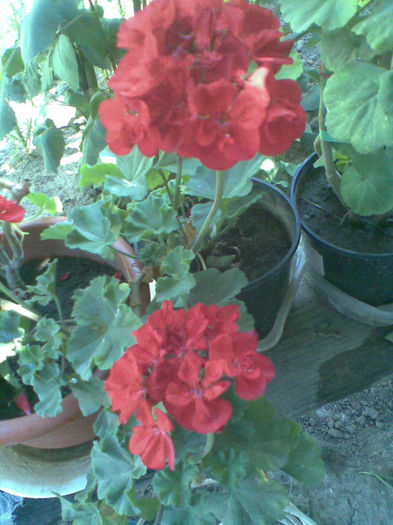 Imag065