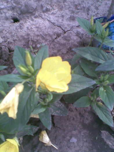 Imag010 - Copy