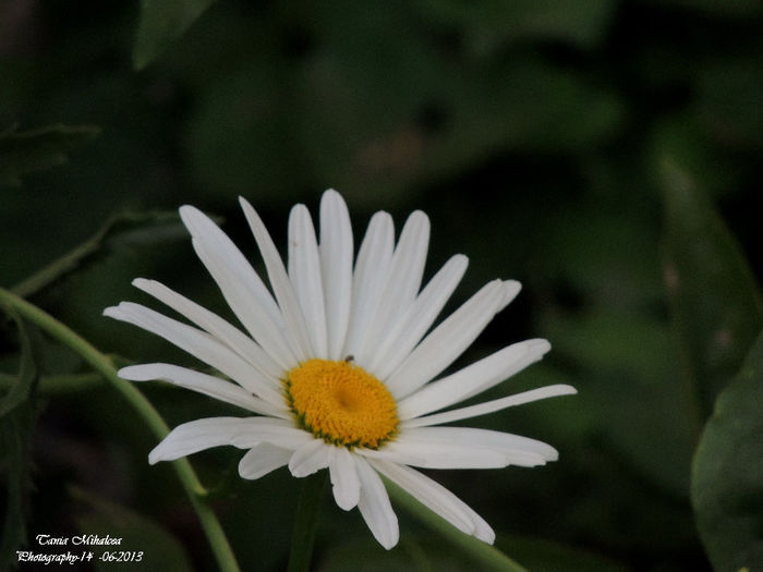 DSCN2848