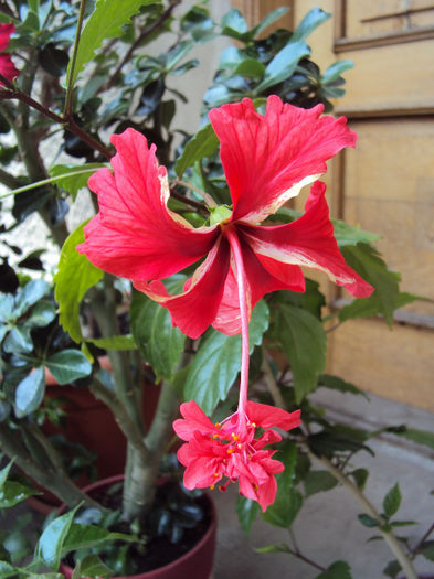 DSC08038
