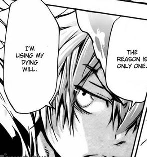 tsuna 183 - Katekyo Hitman Reborn manga 2