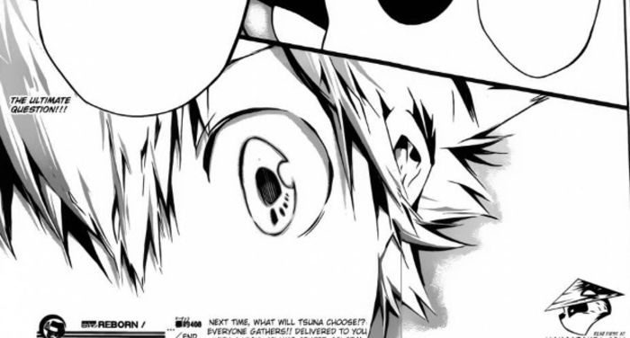 tsuna 191 - Katekyo Hitman Reborn manga 2