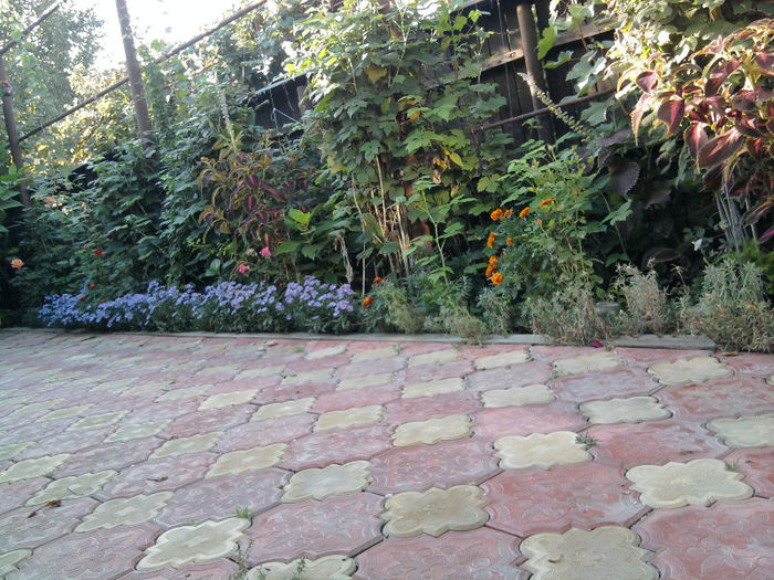 Fotografie0674