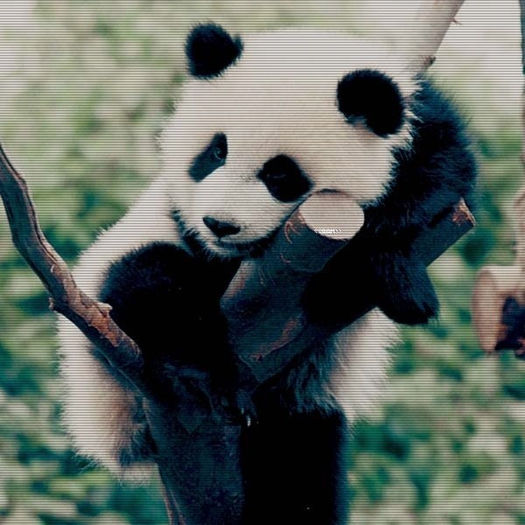 ln scurt timp cei doi au ajuns la destinatie. - x_Amintiri inghetate sentimente vii episodul35_x
