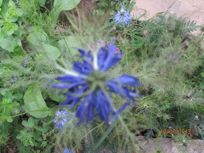 IMG_0779 - Geoagiu Bai