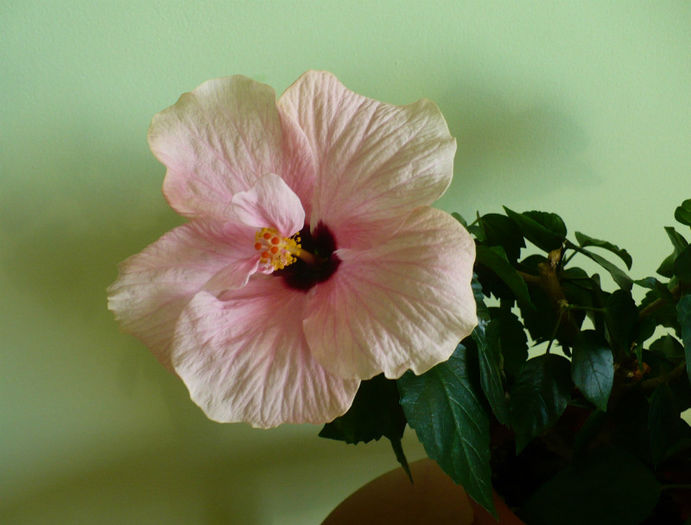P1460067