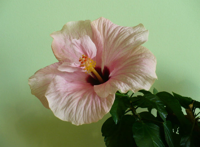 P1460068