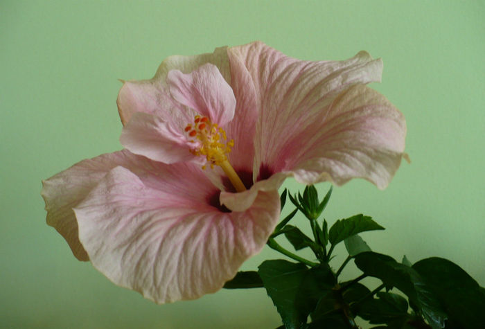 P1460069