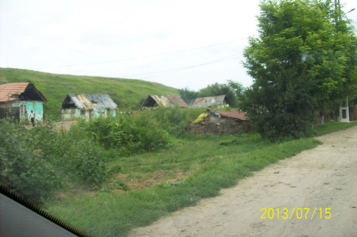 100_9496