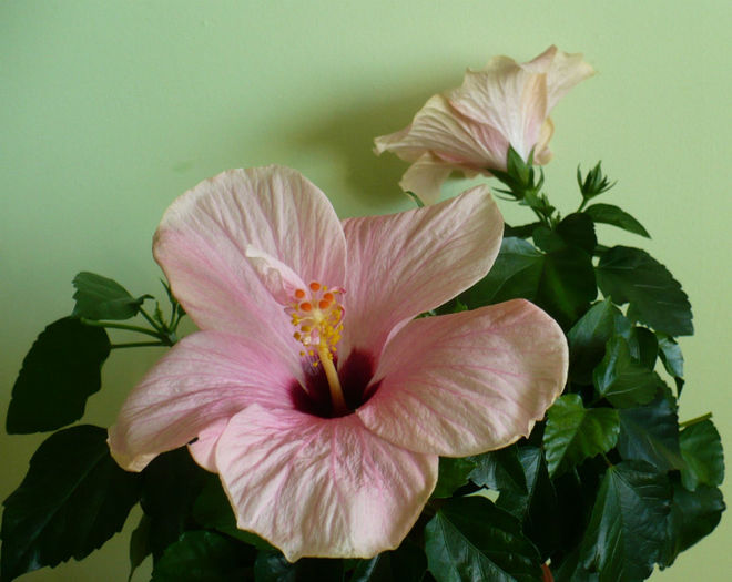P1460078