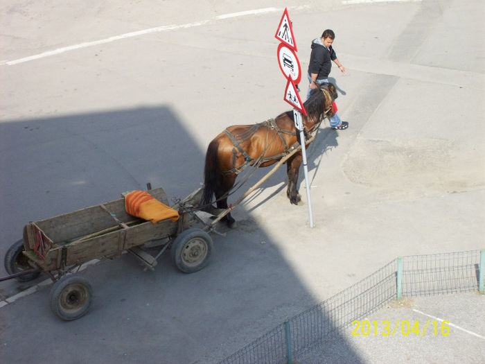 PANA TRAG PE GAT O BERE CALUL STA PROPTIT DE ACEST STALP CARE NU MAI ESTE RESPECTAT DE NIMENI ,AICI 