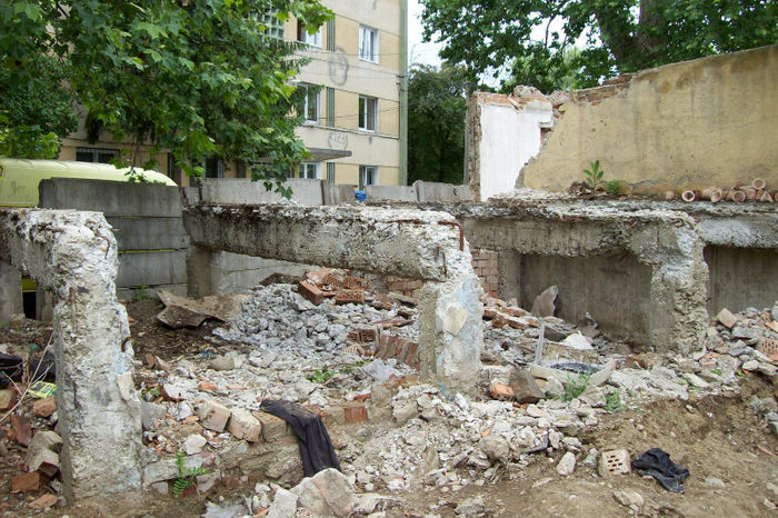 100_7973 - DE GUSTIBUS  ET COLORIBUS NON DISPUTANDUM