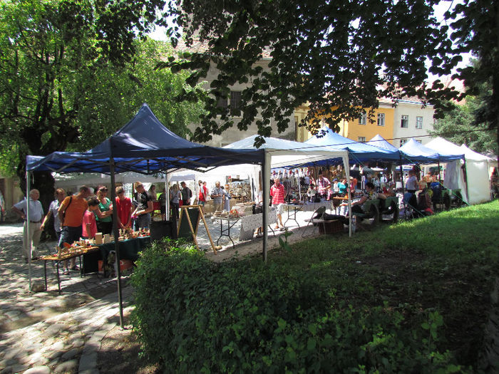 Sighisoara - Contact-Sighisoara