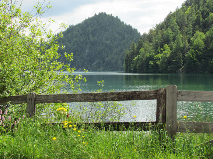 IMG_3399 - Vara-Toamna in Austria-Tirol