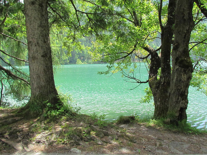 IMG_3446 - Vara-Toamna in Austria-Tirol