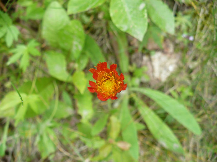 P1460138